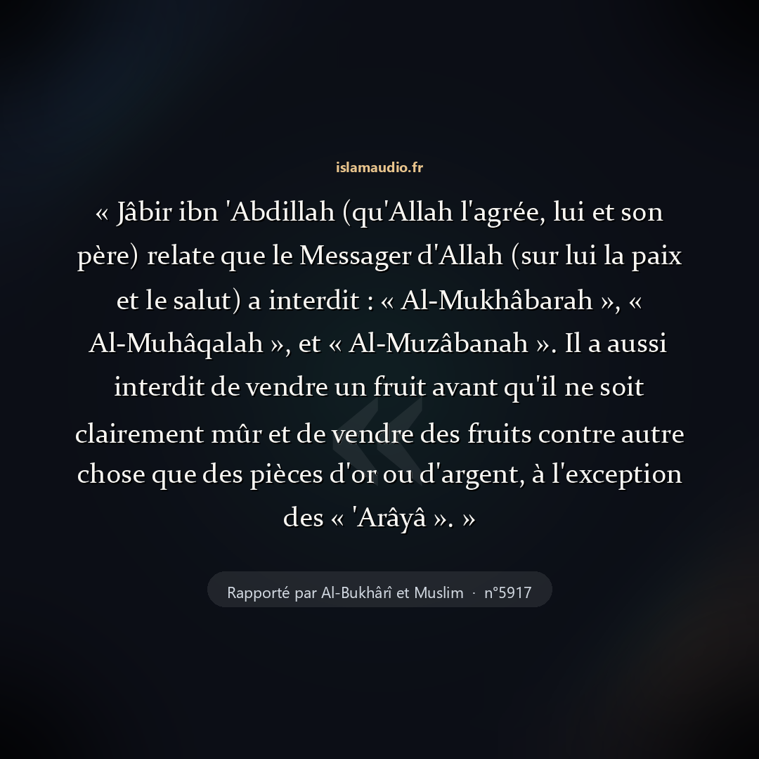 Aperçu du hadith