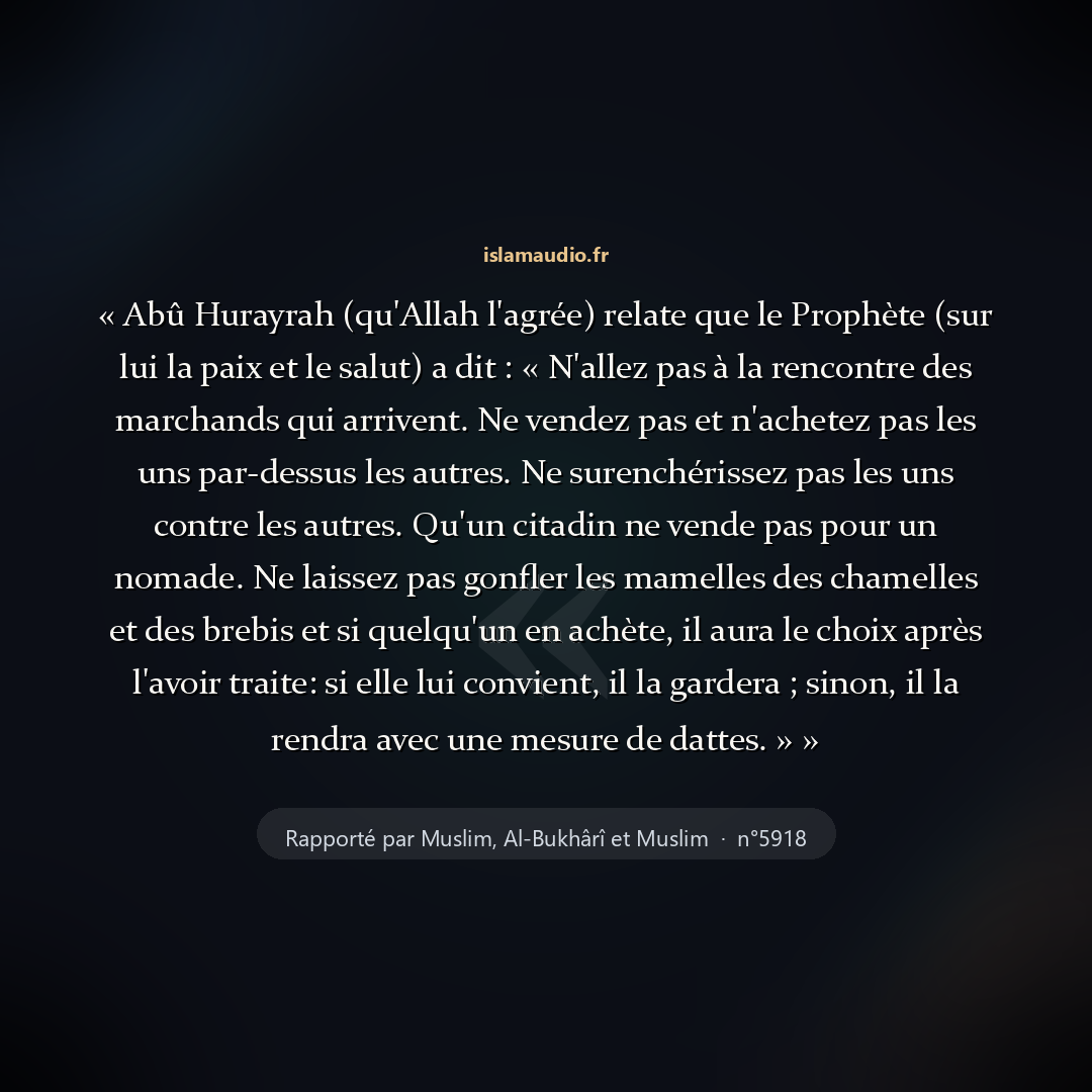 Aperçu du hadith