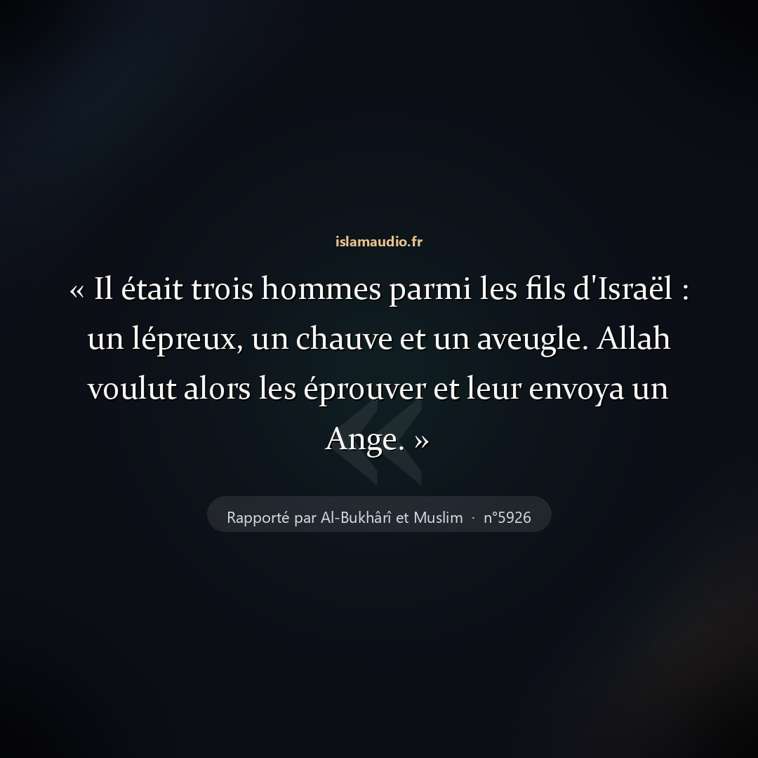 Aperçu du hadith