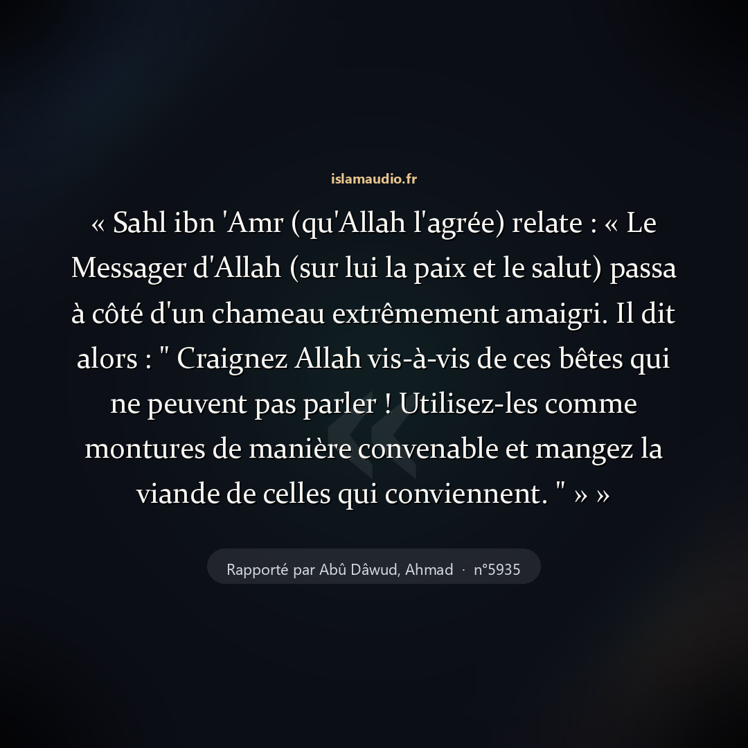 Aperçu du hadith