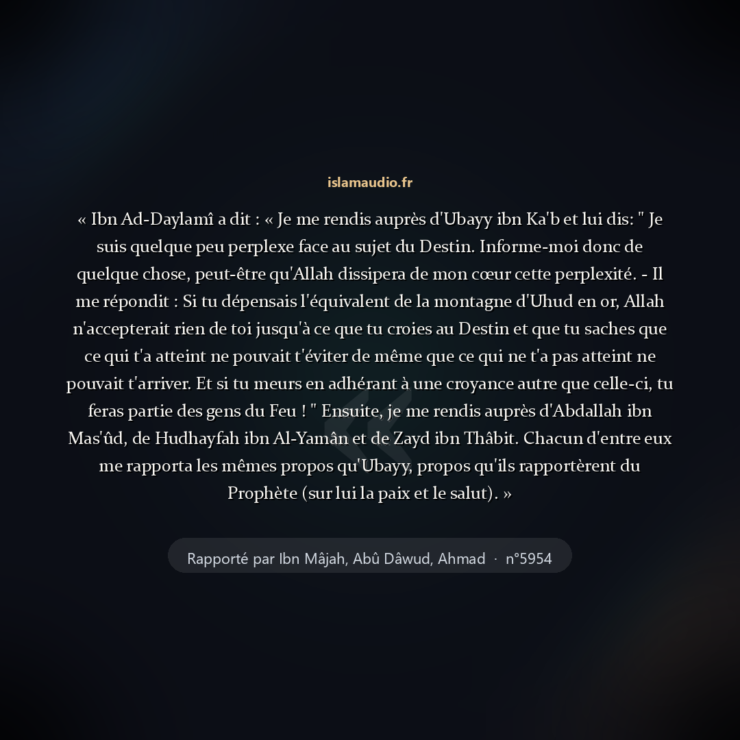 Aperçu du hadith
