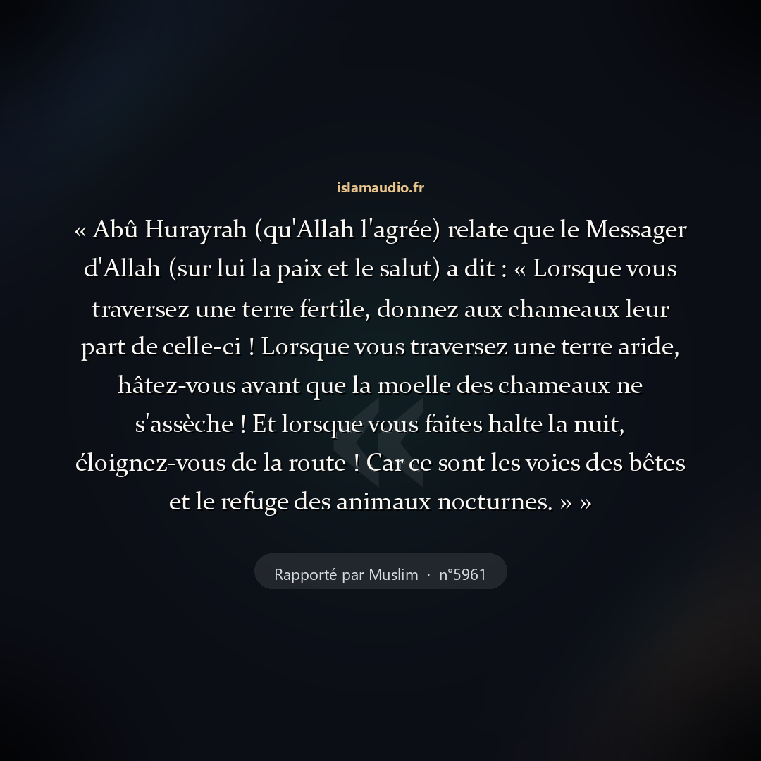 Aperçu du hadith