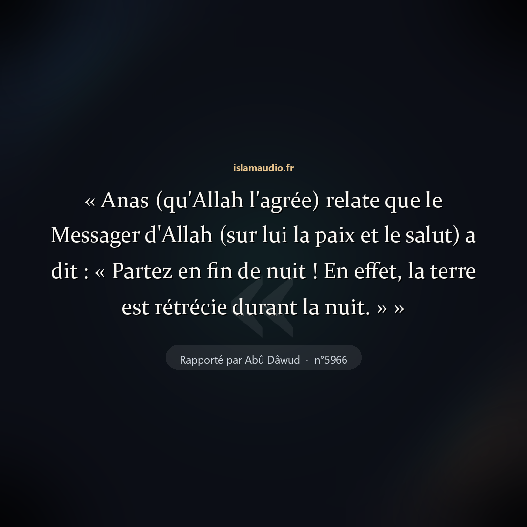 Aperçu du hadith