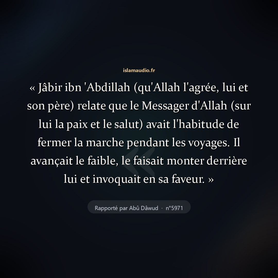 Aperçu du hadith