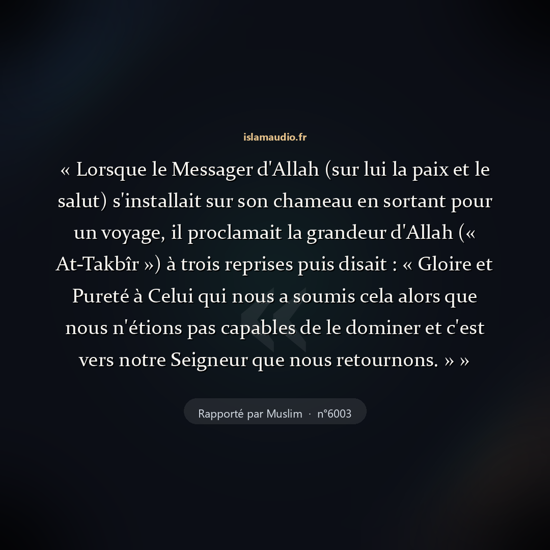 Aperçu du hadith
