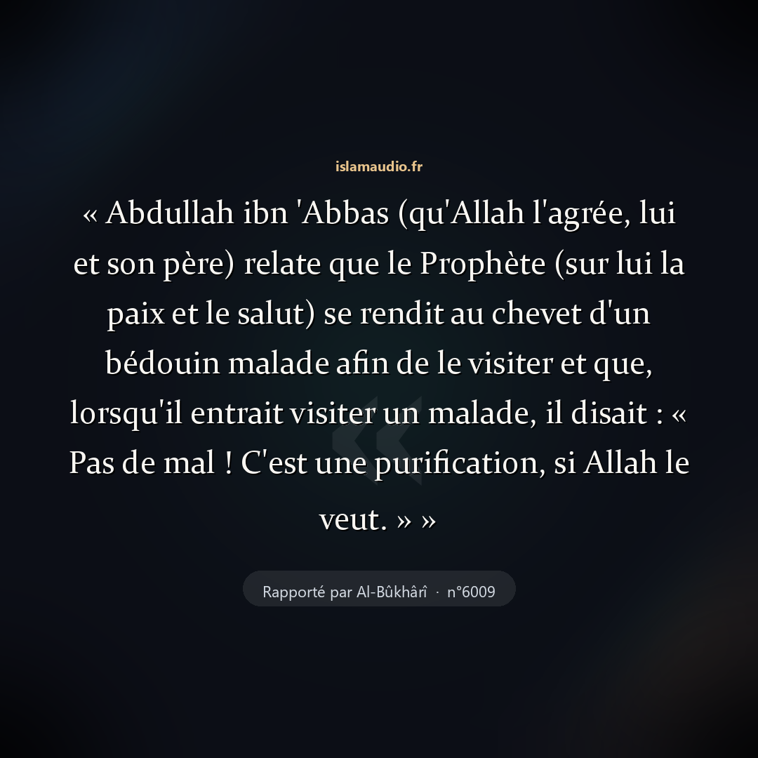 Aperçu du hadith