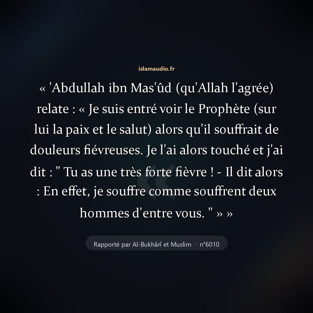 Aperçu du hadith