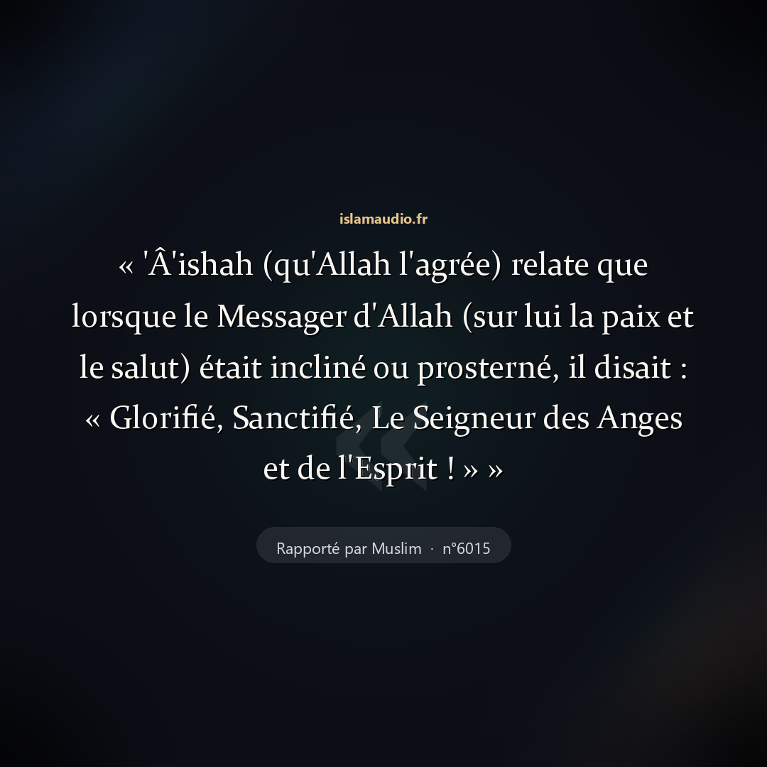 Aperçu du hadith