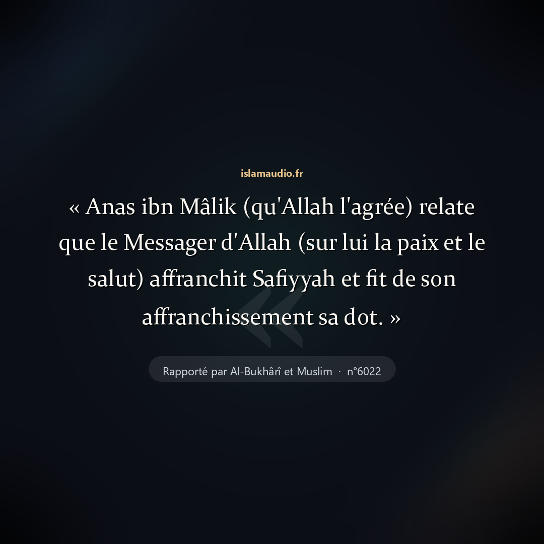Aperçu du hadith