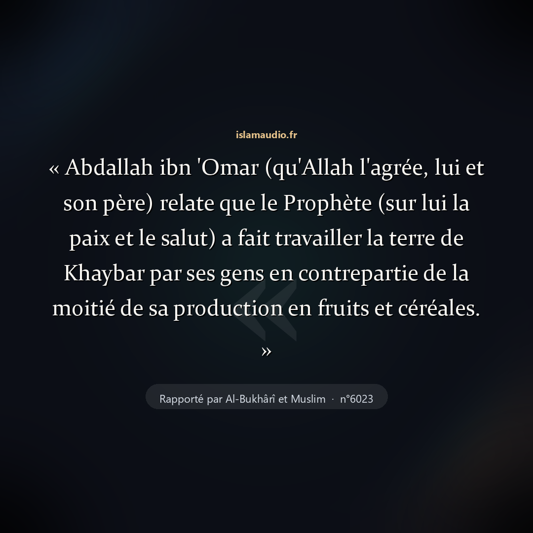 Aperçu du hadith