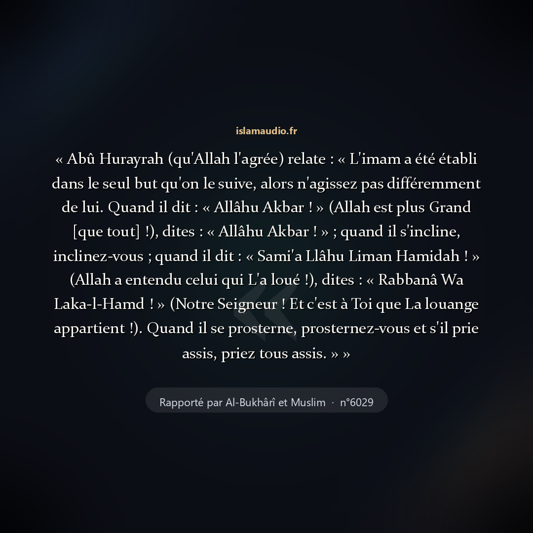 Aperçu du hadith