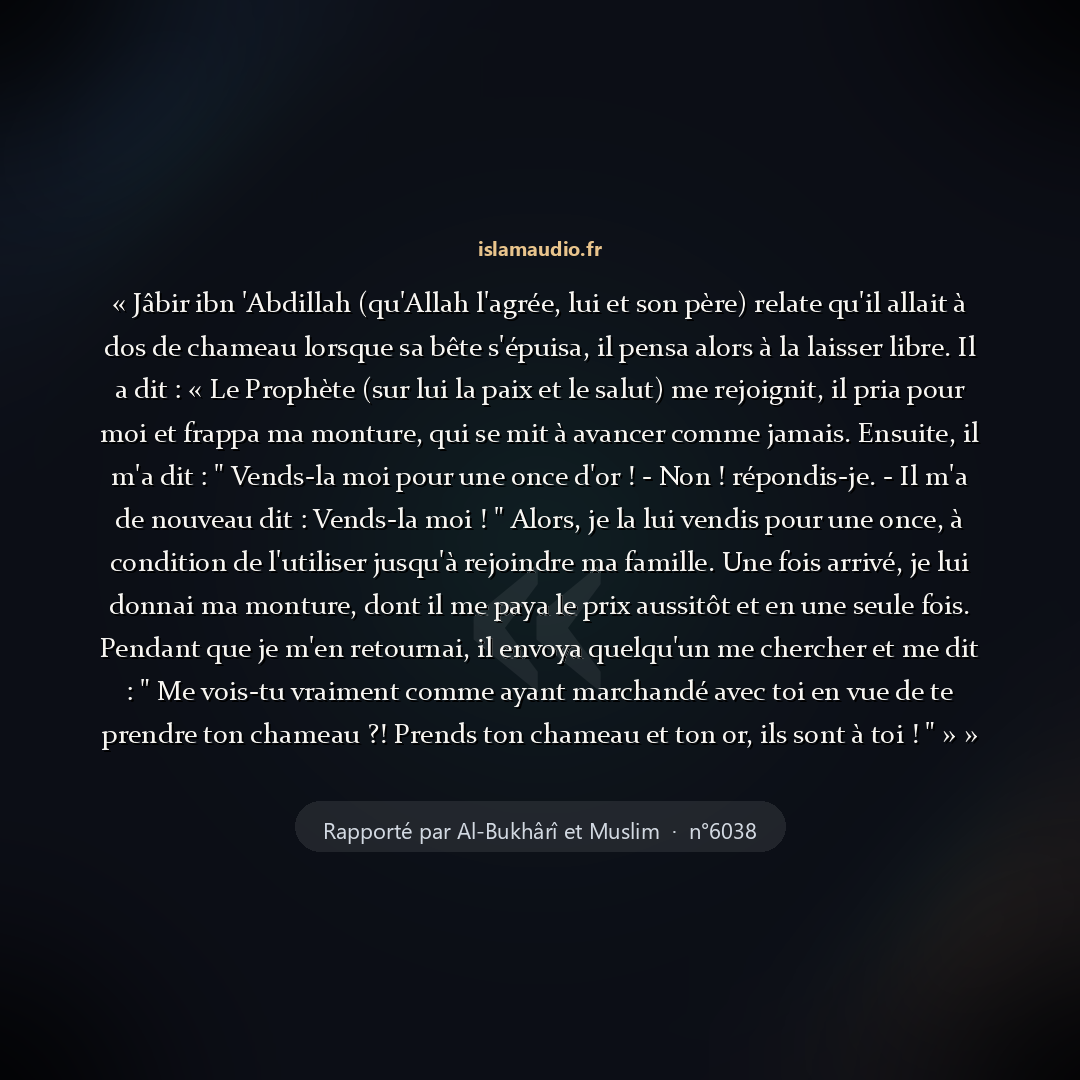 Aperçu du hadith