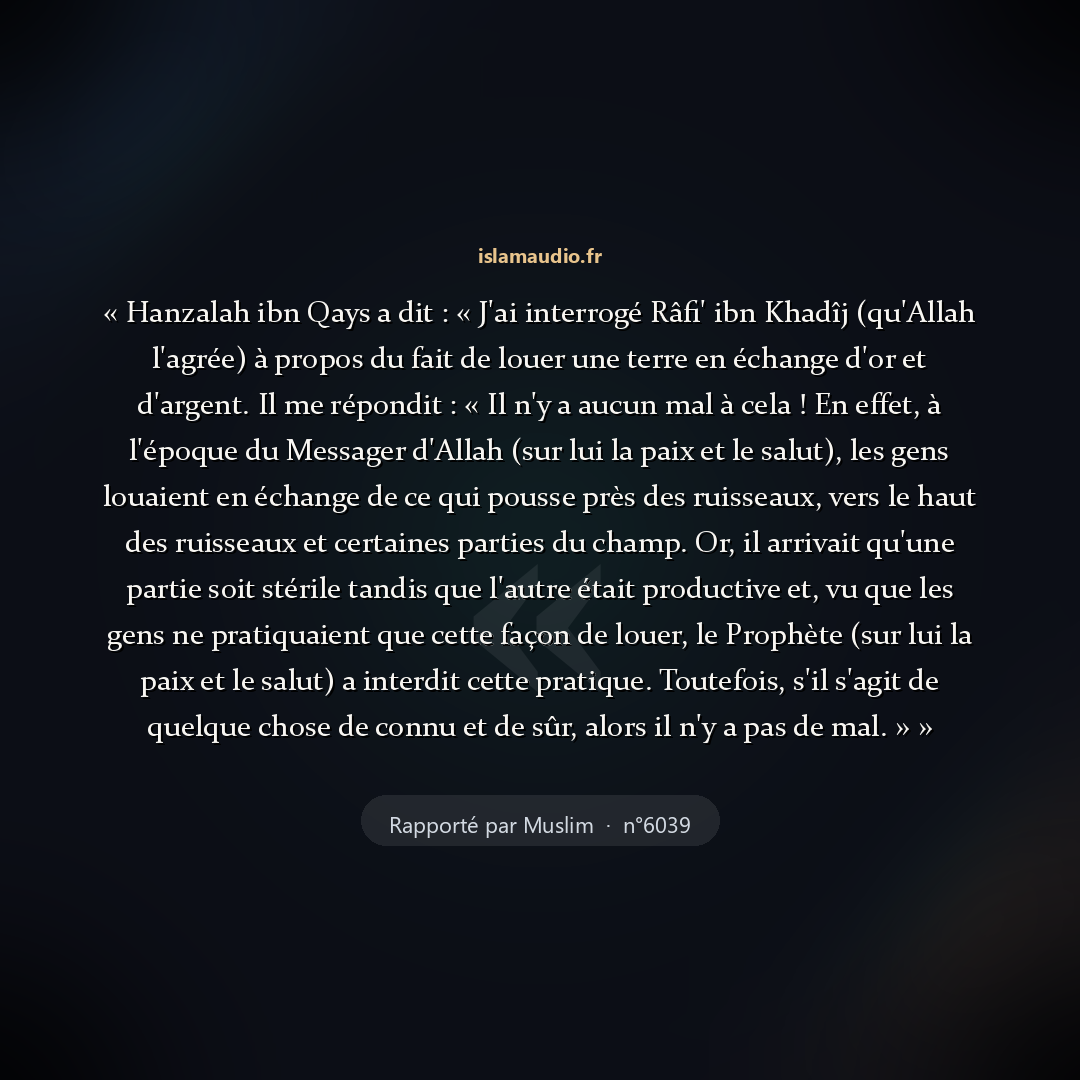 Aperçu du hadith