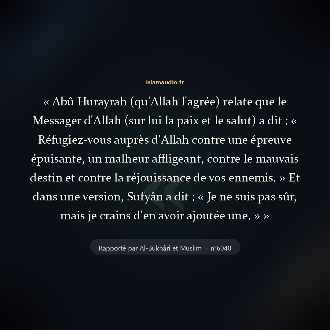Aperçu du hadith