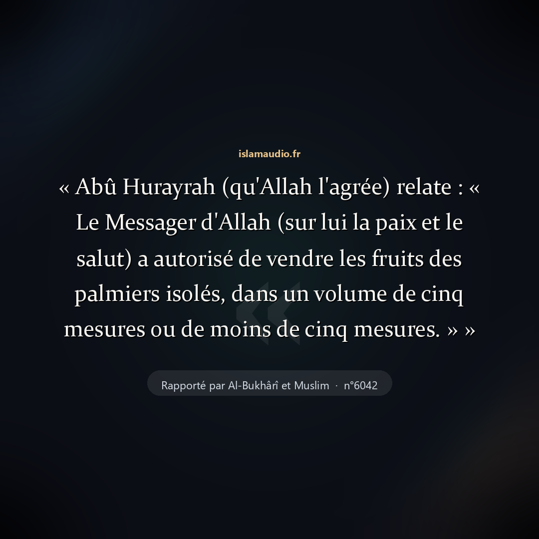 Aperçu du hadith