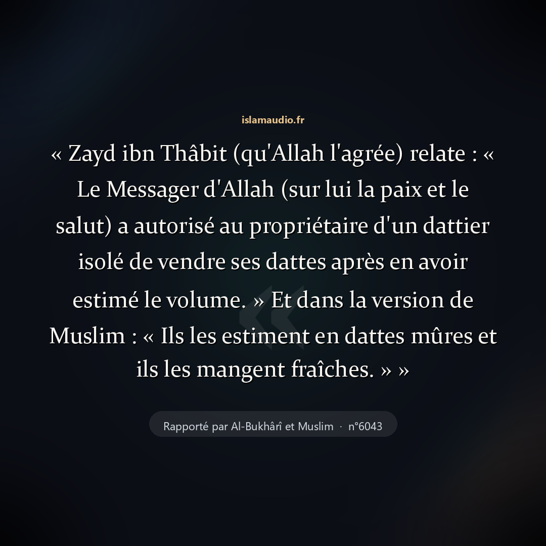 Aperçu du hadith