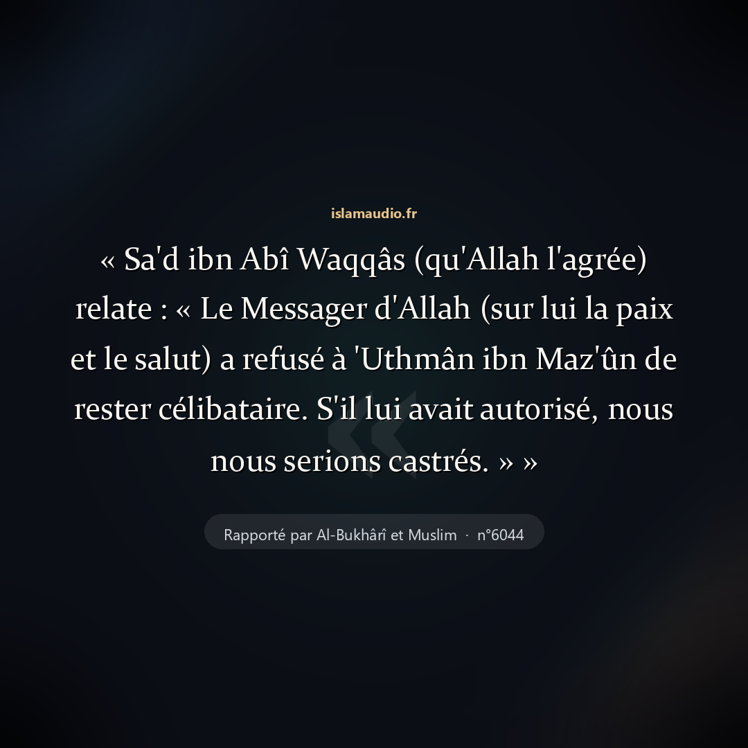 Aperçu du hadith