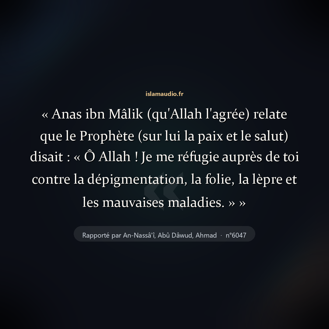 Aperçu du hadith