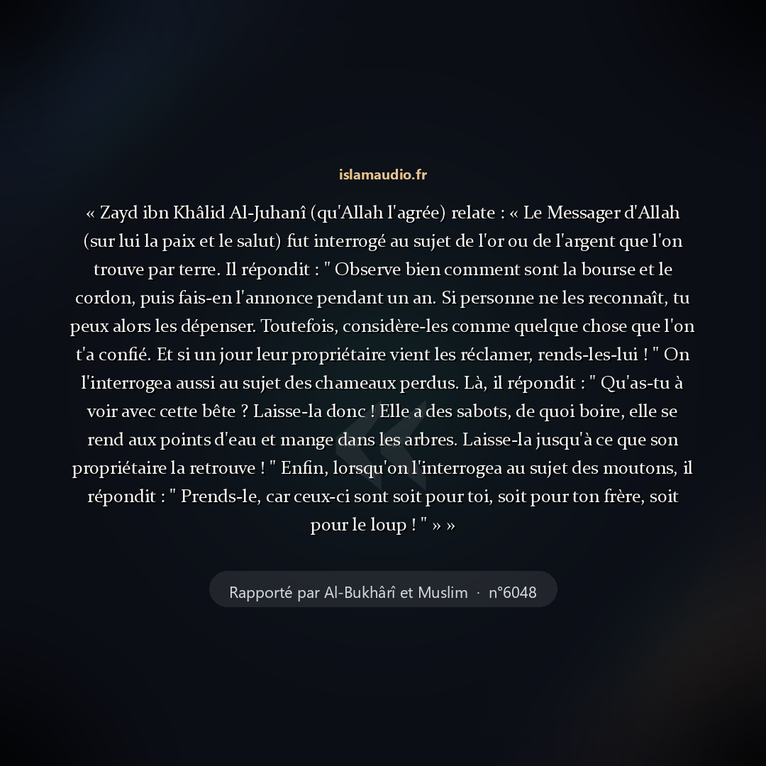 Aperçu du hadith