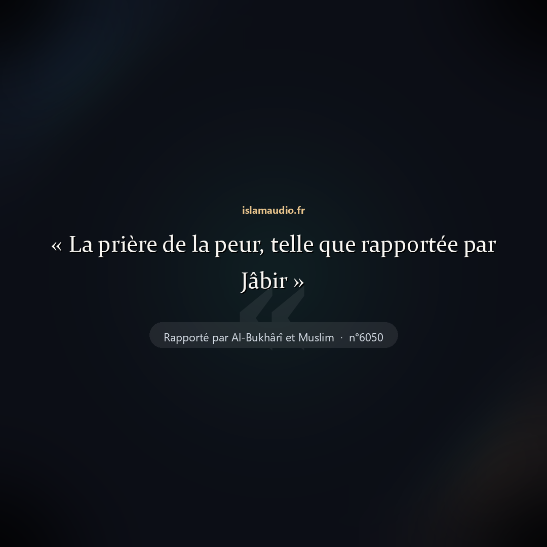 Aperçu du hadith