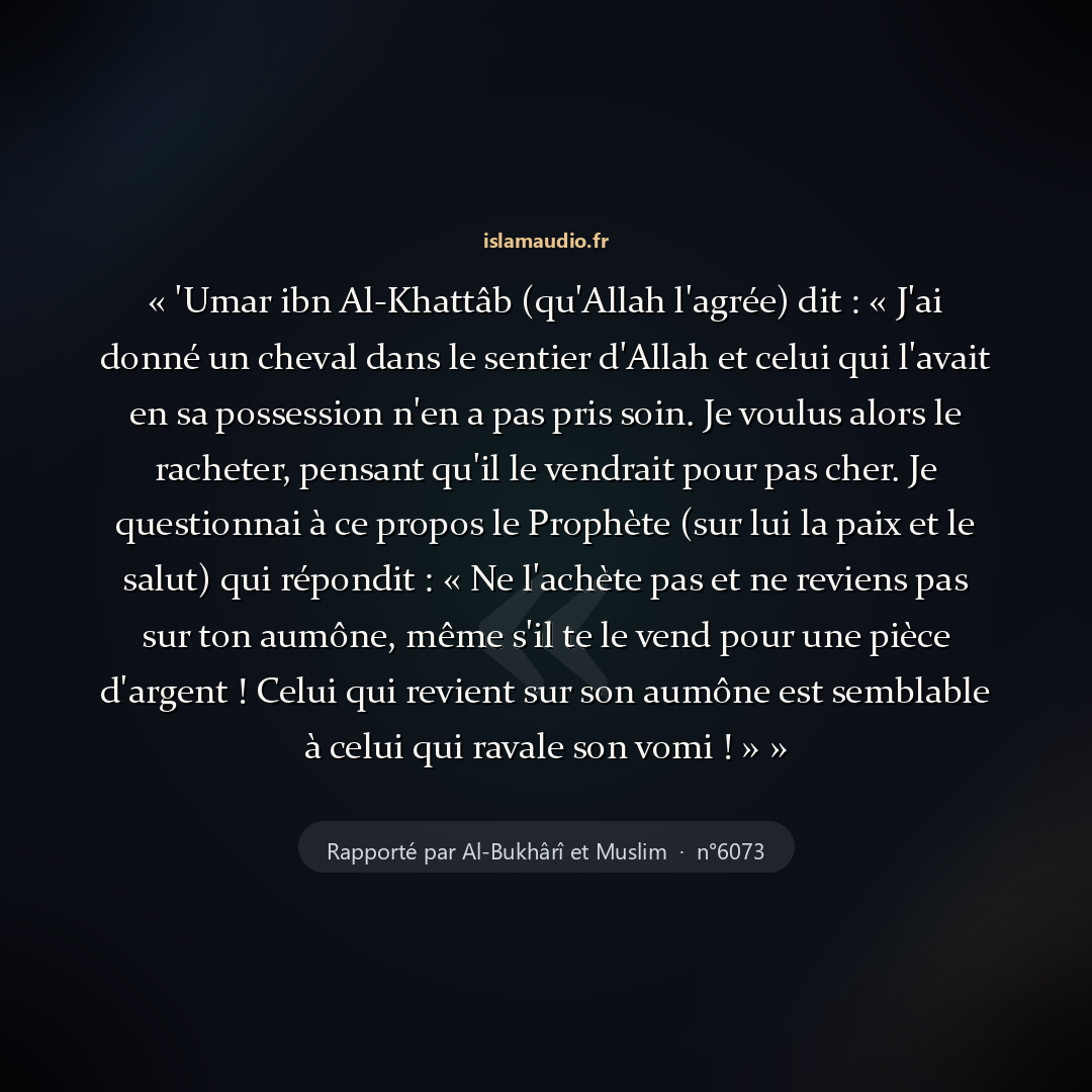 Aperçu du hadith