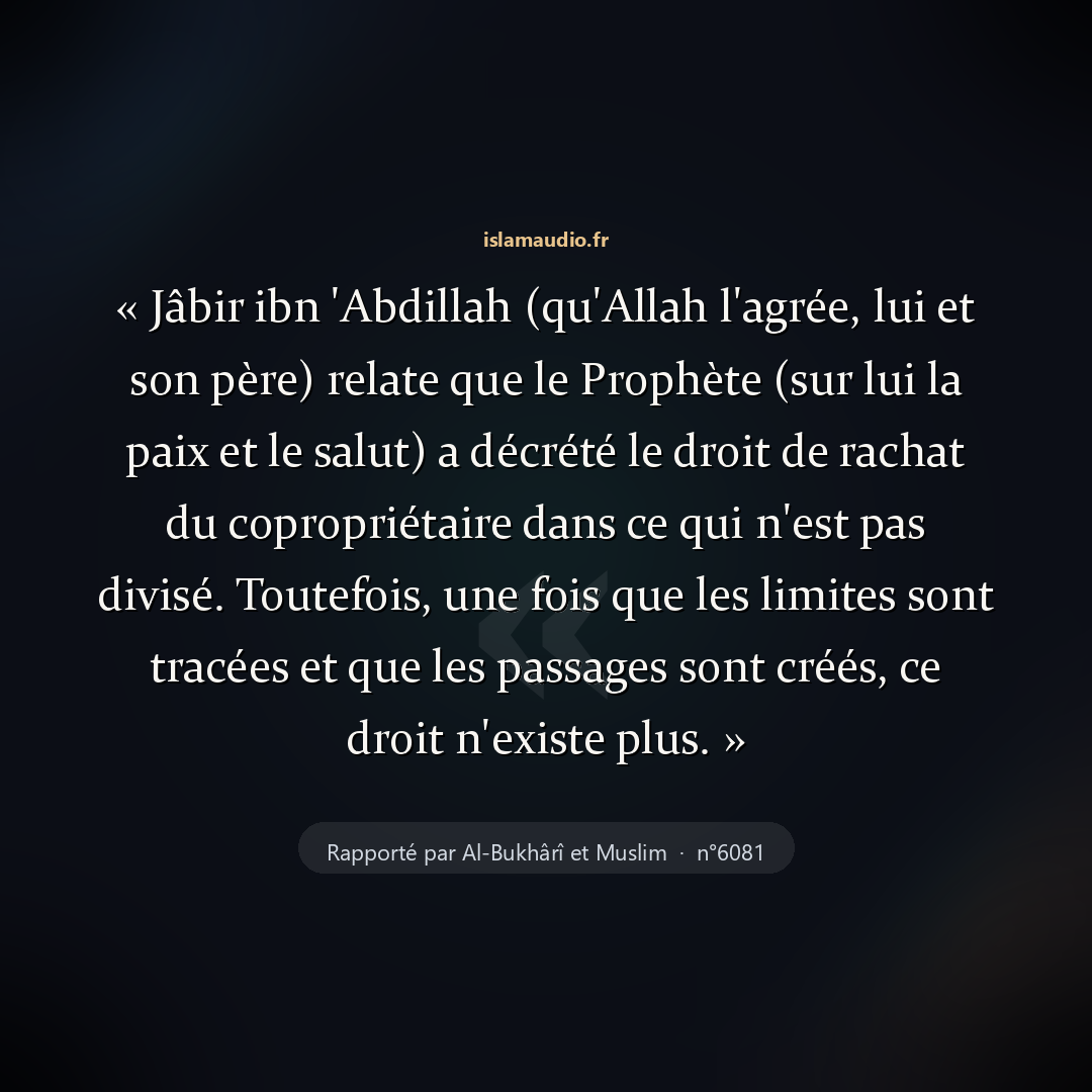 Aperçu du hadith