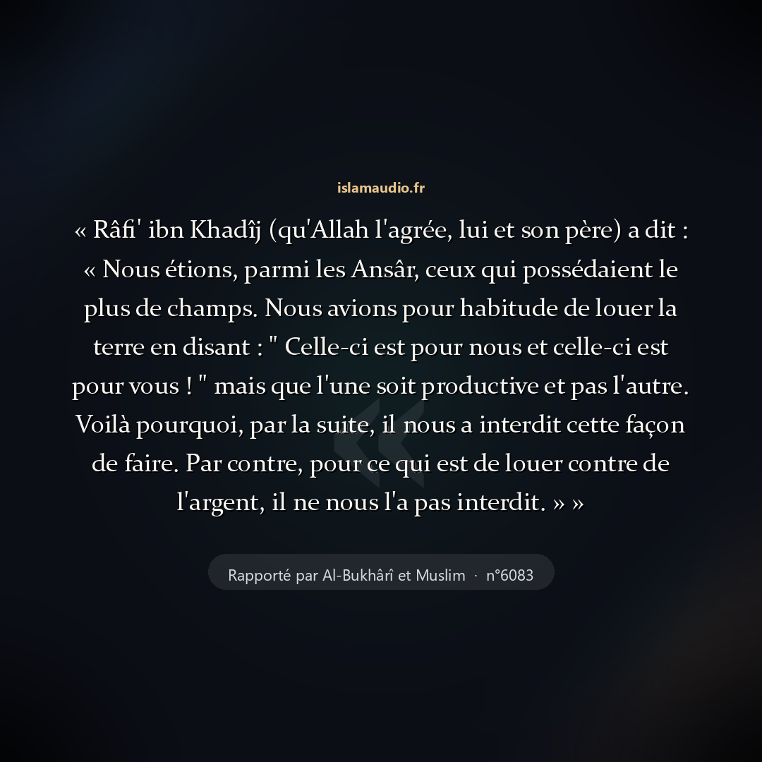 Aperçu du hadith