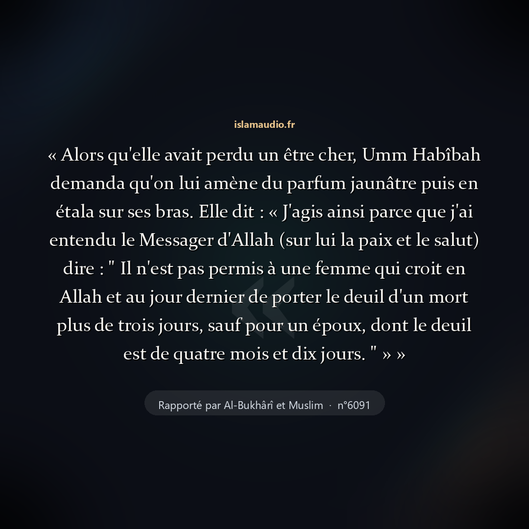 Aperçu du hadith