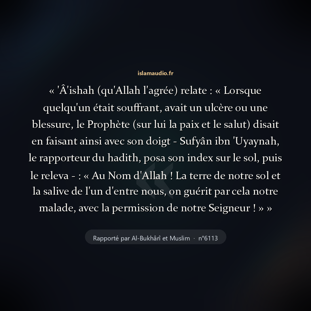 Aperçu du hadith