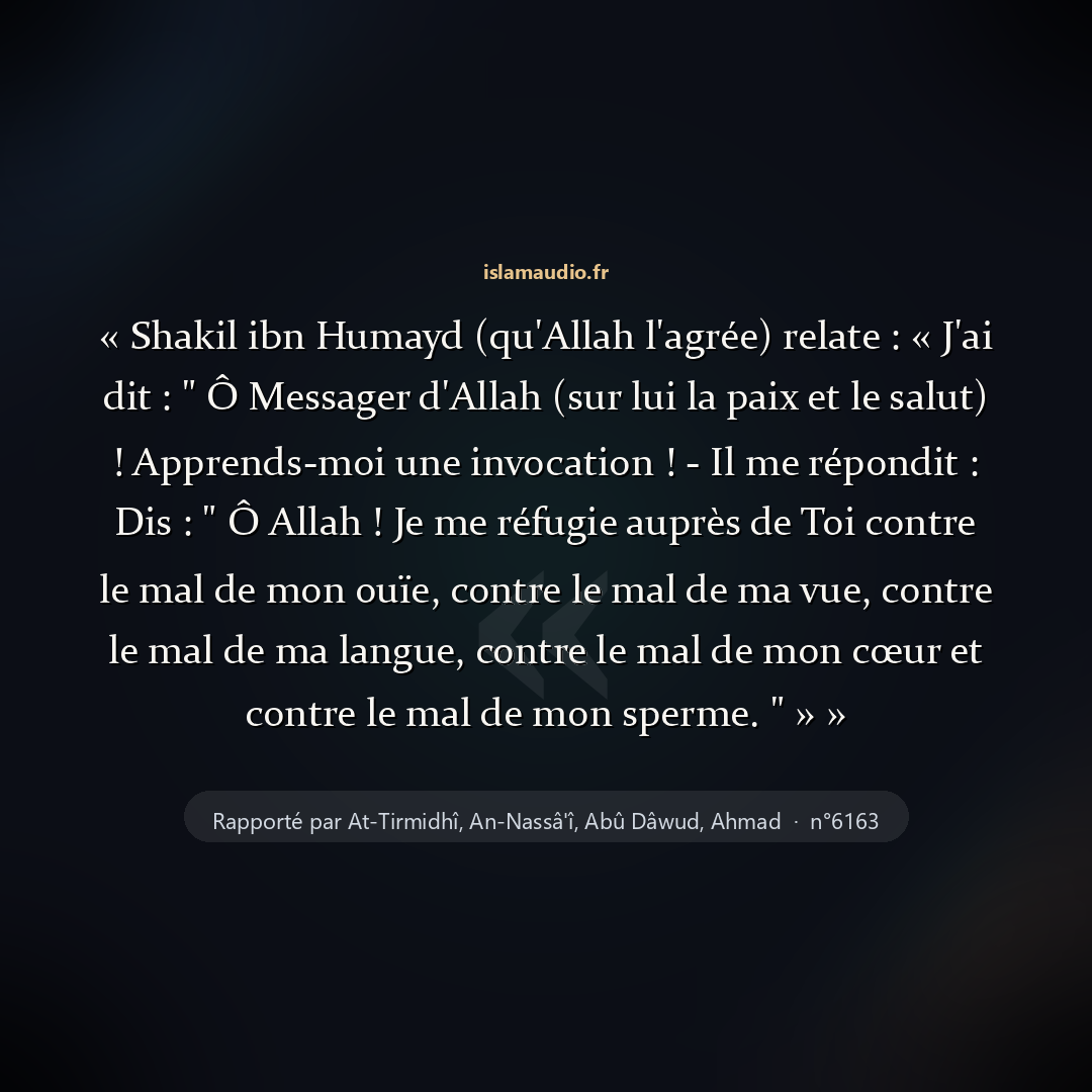 Aperçu du hadith