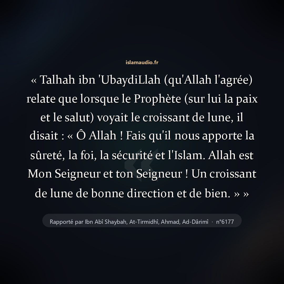 Aperçu du hadith