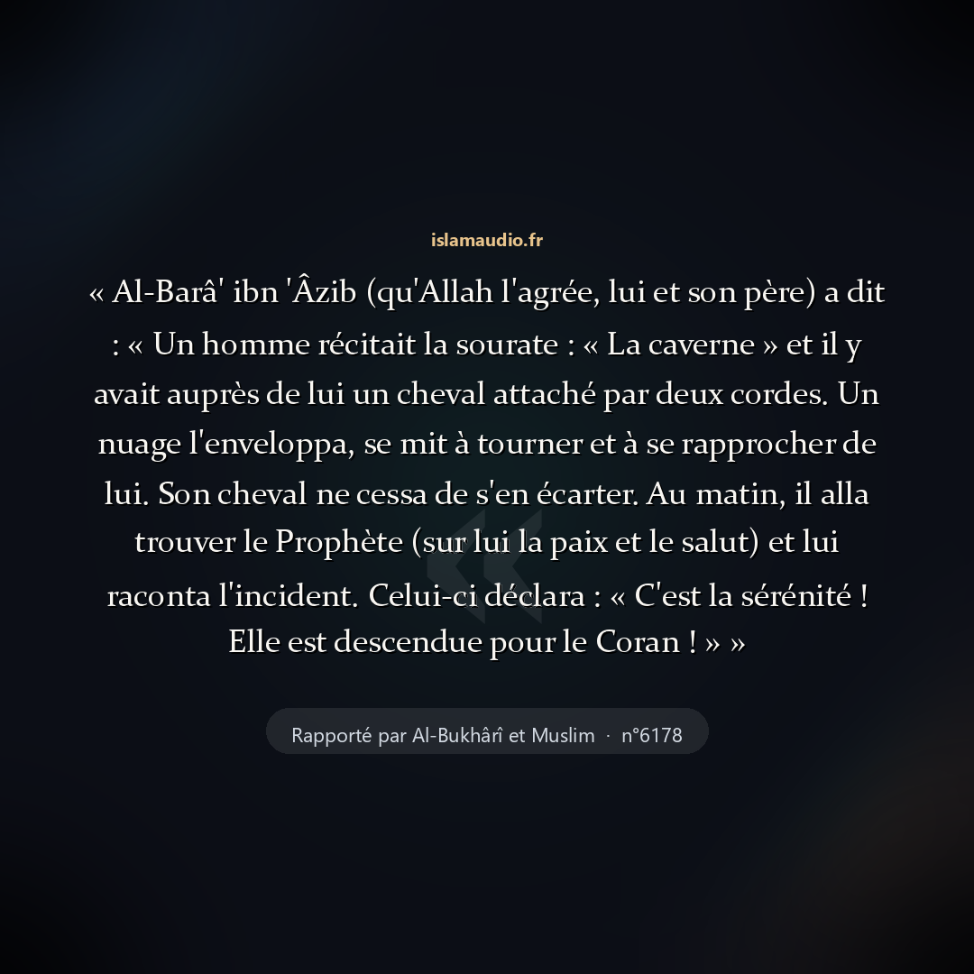 Aperçu du hadith