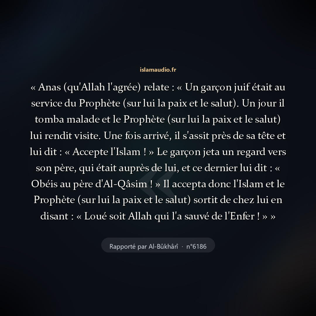 Aperçu du hadith