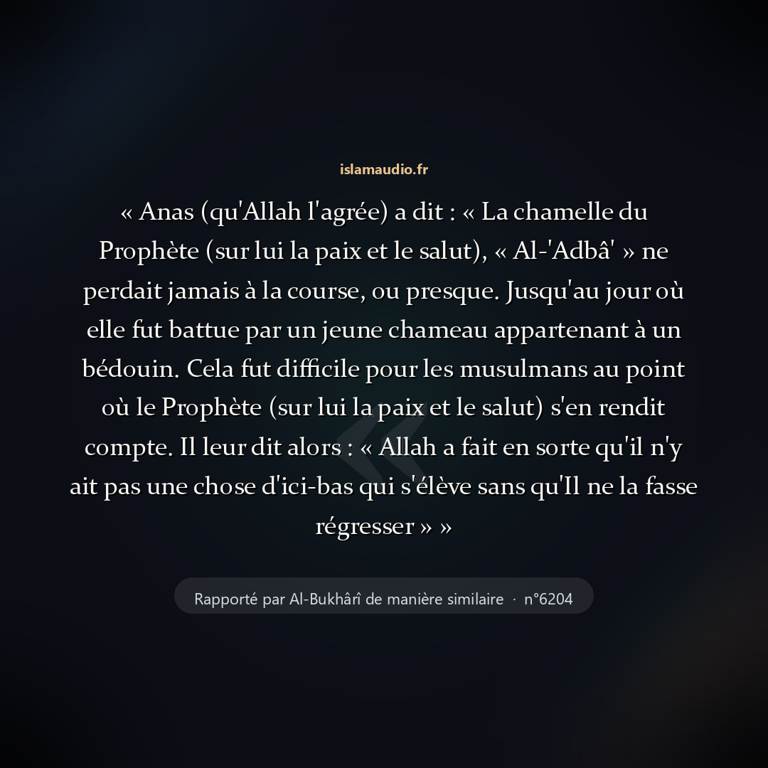 Aperçu du hadith