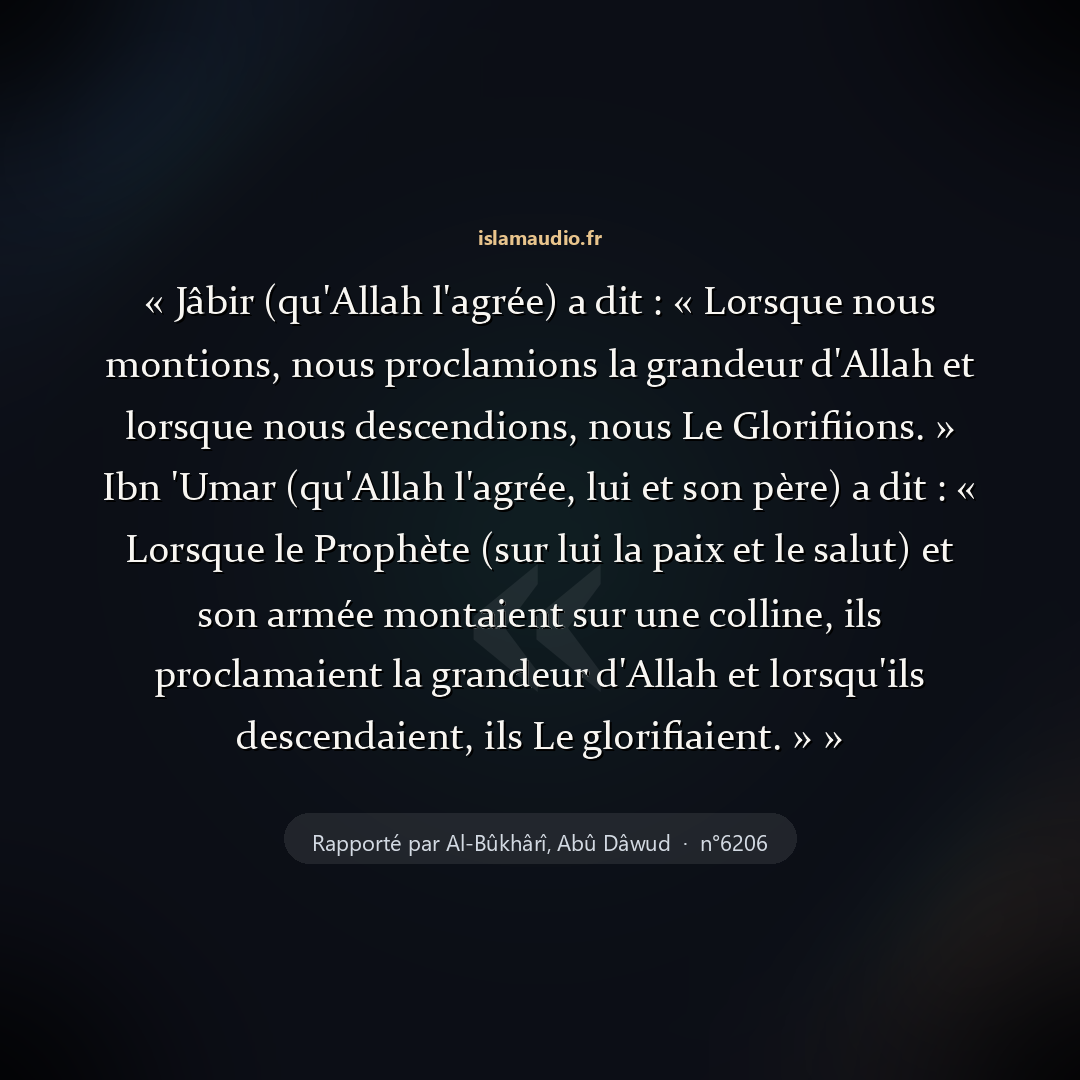 Aperçu du hadith