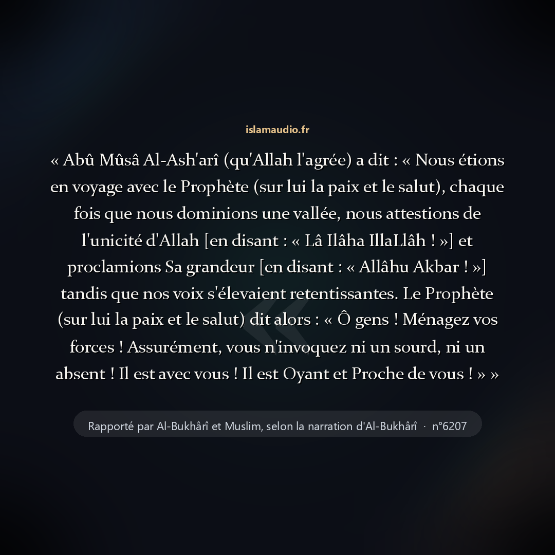 Aperçu du hadith