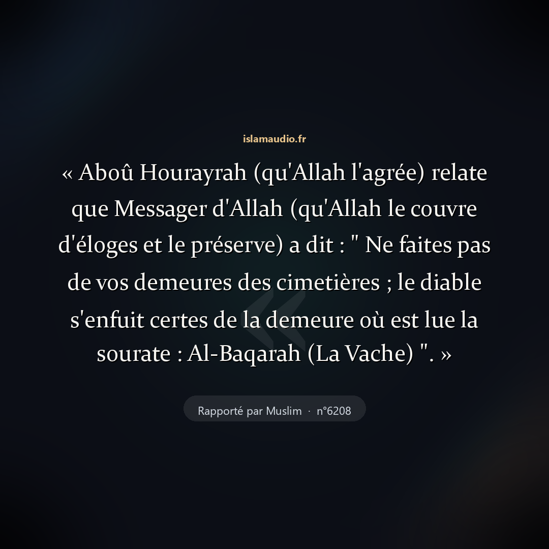 Aperçu du hadith