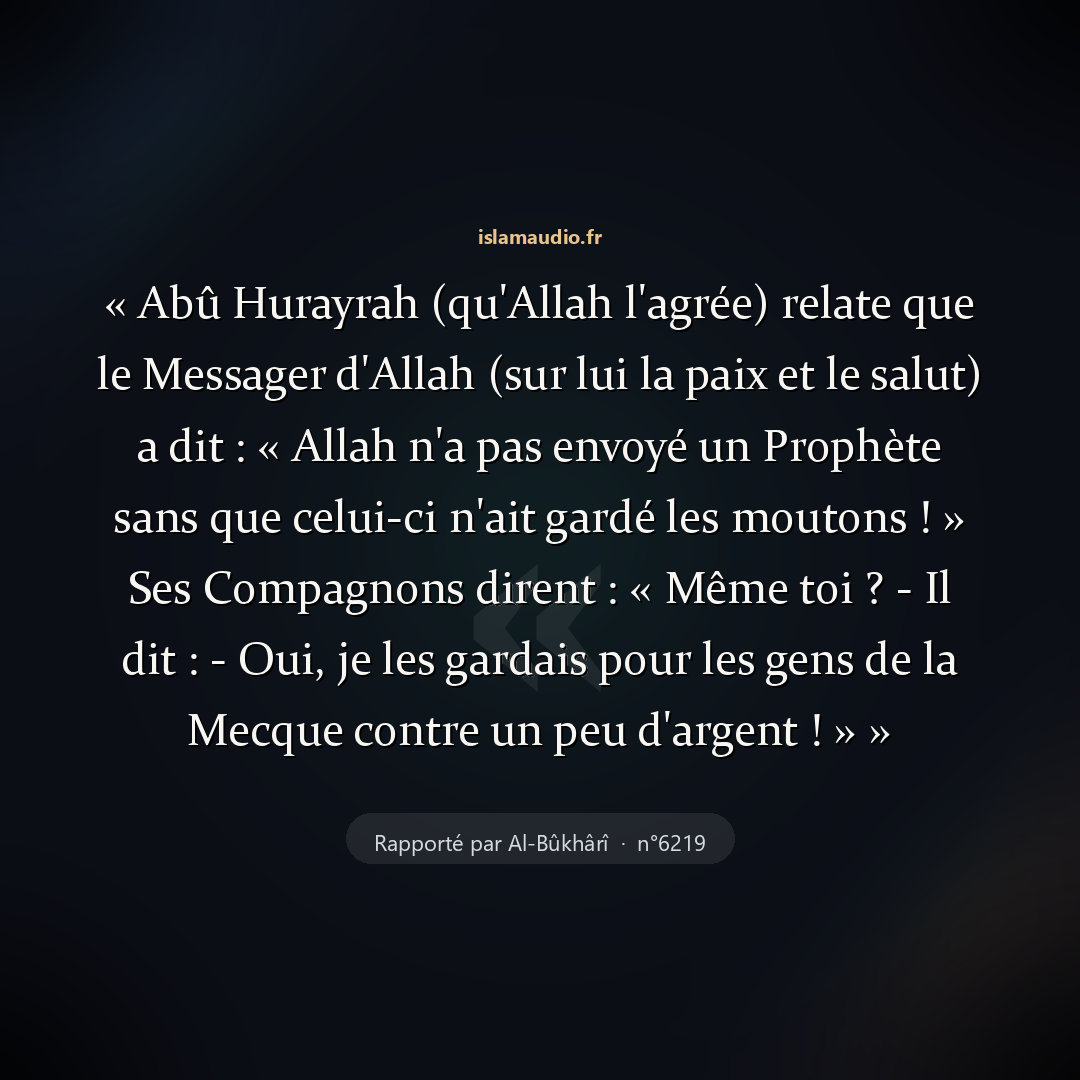 Aperçu du hadith