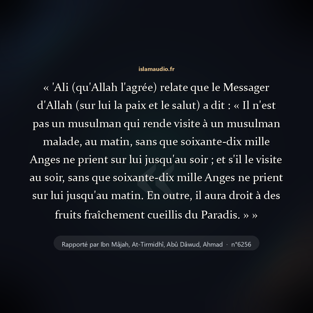 Aperçu du hadith