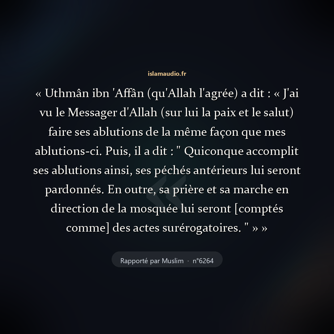 Aperçu du hadith