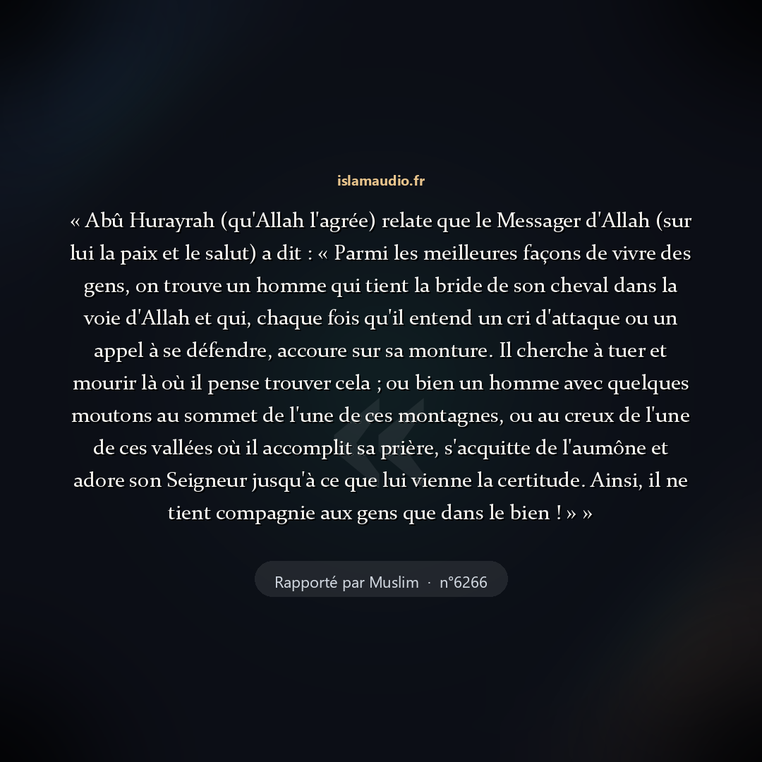 Aperçu du hadith