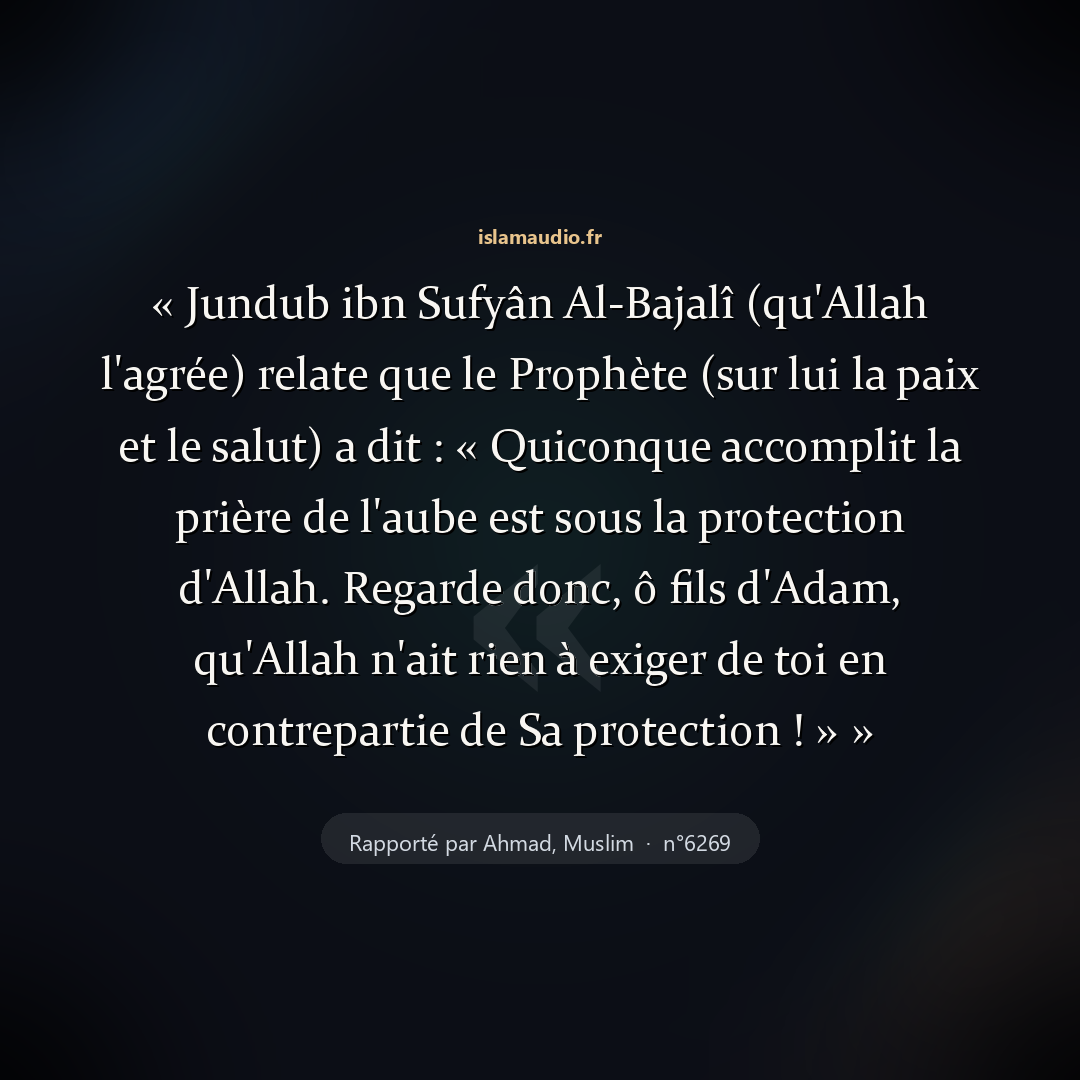 Aperçu du hadith