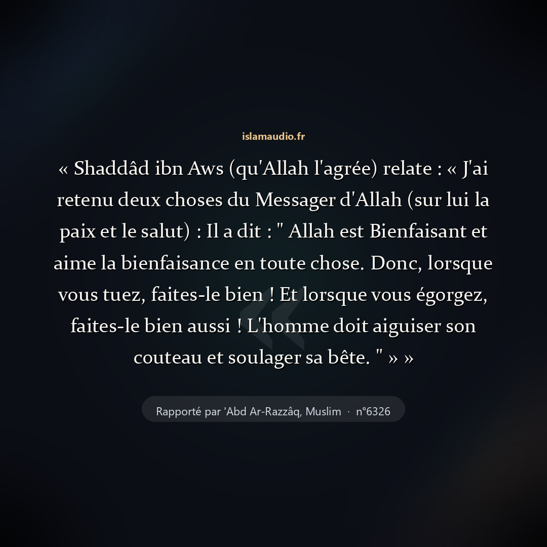 Aperçu du hadith