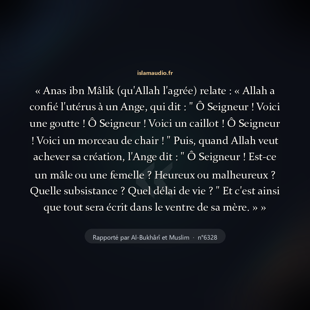 Aperçu du hadith