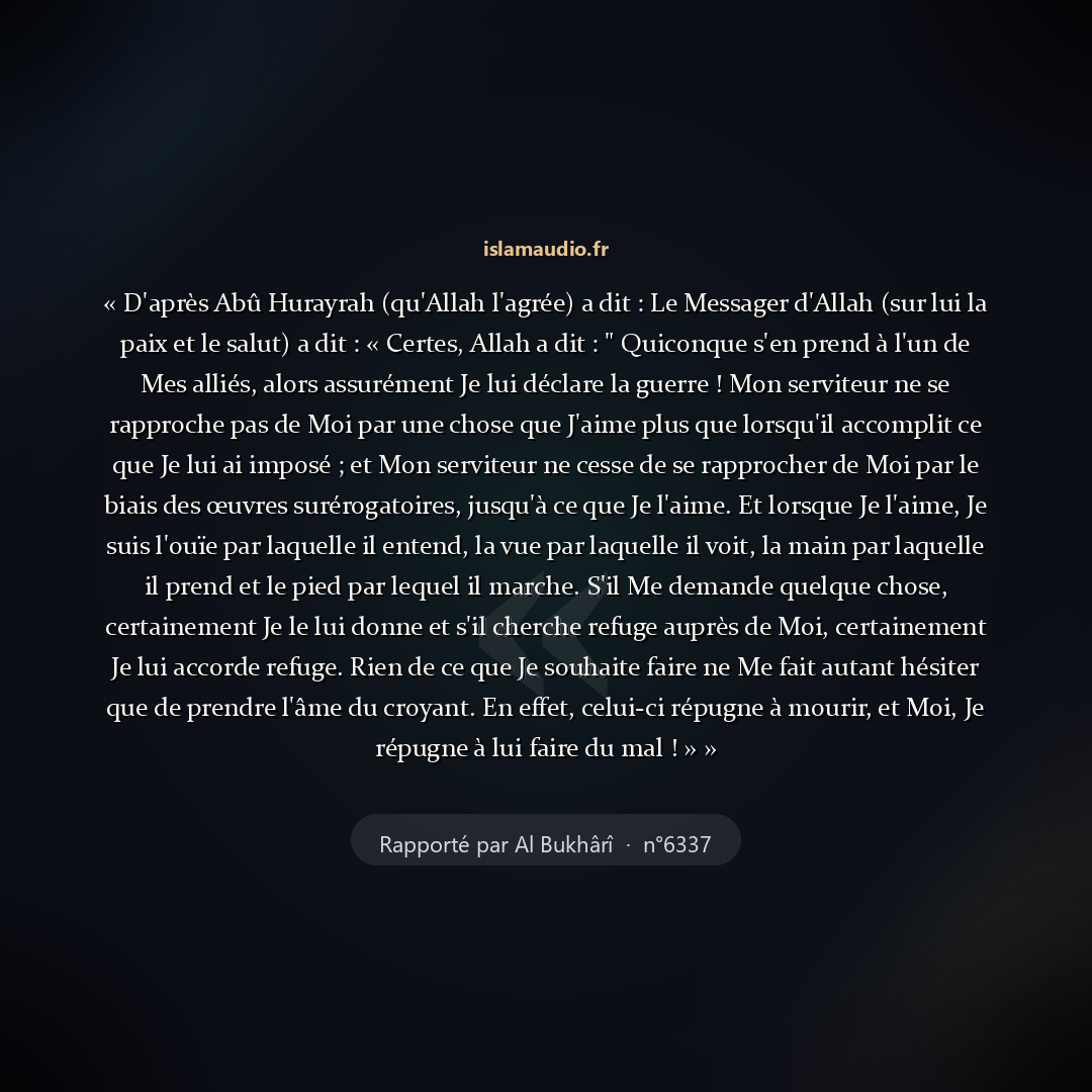 Aperçu du hadith
