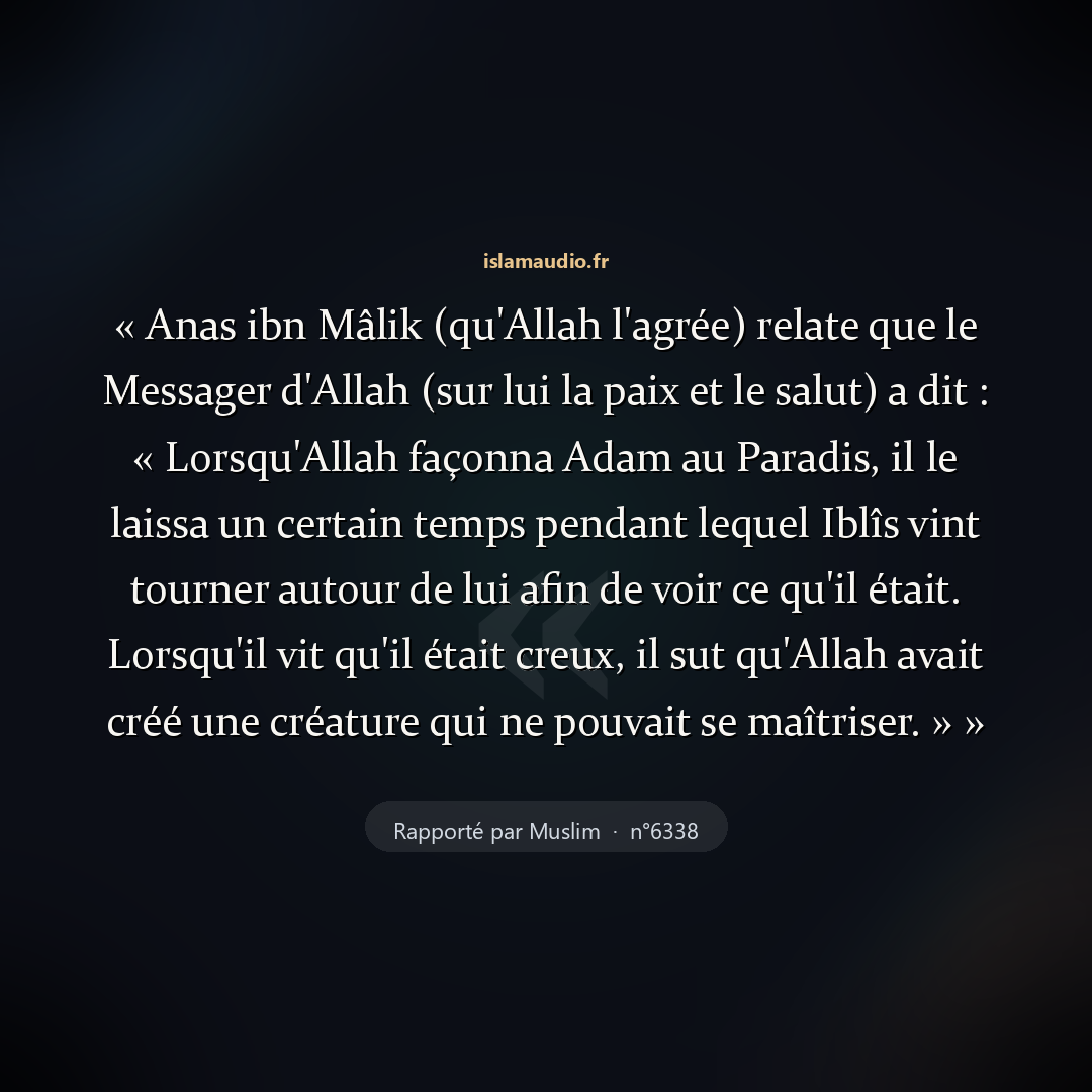 Aperçu du hadith