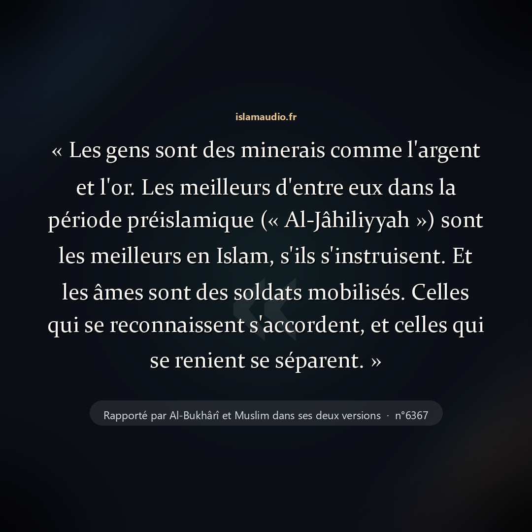 Aperçu du hadith