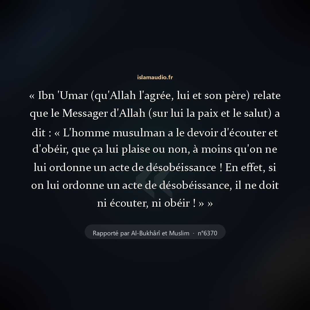 Aperçu du hadith