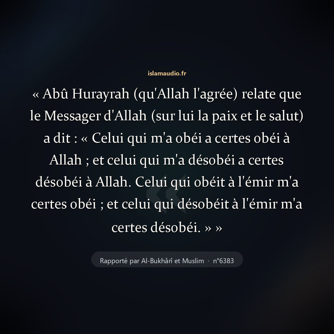 Aperçu du hadith