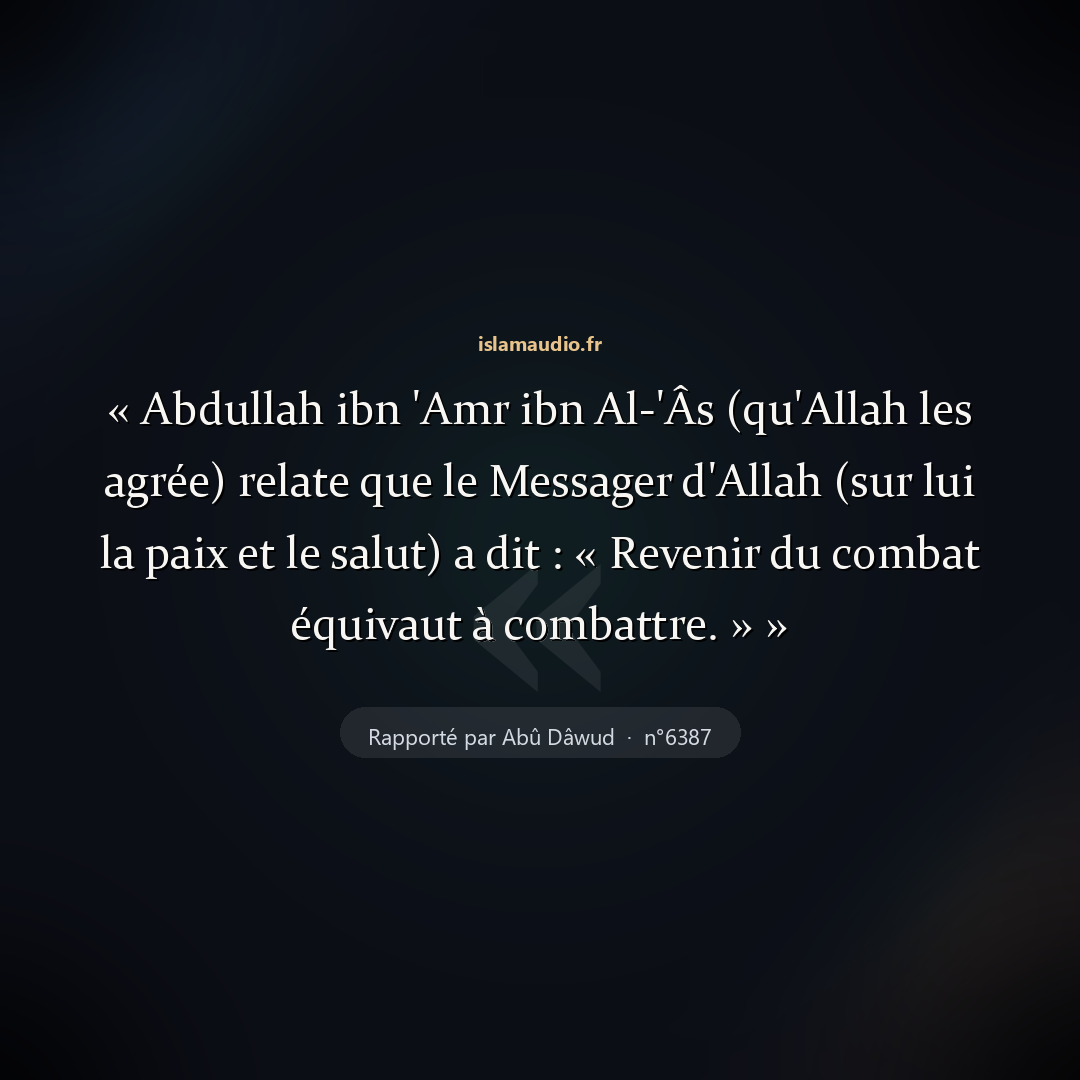 Aperçu du hadith